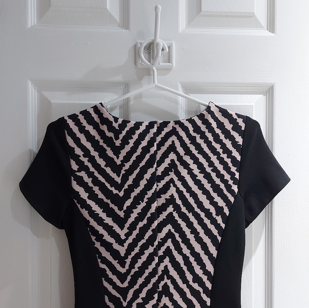 Sandro Ferrone Roma | Sheath Dress - Picture 14 of 16